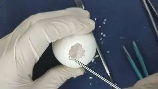 Peeling Raw Egg SOY | soy satisfying | oddly satisfying