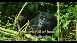 Estell Nadine - Nzakurata Rwanda