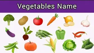 Learn Vegetables name | Vegetables name in english | Vegetable Pictures| Basic English Learning|