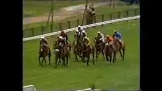 1988 Roux Restaurants Tolworth Novices' Hurdle