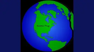 Exotic Plug
