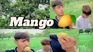 Amazing Mango Day! 🥭 Enjoying Juicy Mangoes in a Beautiful Orchard 🍃