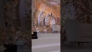 GRAND SETUP!#shorts #shortsfeed  #youtubeshorts #shortsviral #yt #trending #youtube