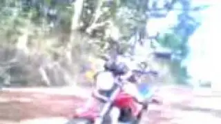 allissinho danu um grau 3