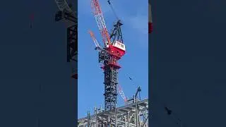A Little Crane Jumping Magic down here at SpaceX in StarBase, Texas