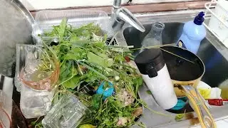 Washing dishes with the sound of water and a foam sponge/ASMR 