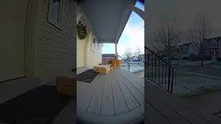 Dog Protects Package 🐕 📦#ringcam #dogvideo #viralanimals