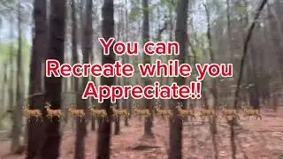 668 Forest Ln, Colbert, Ga - Land For Sale