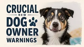 ***Top 10 Mistakes New Dog Owners Make (And How to Avoid Them!)***