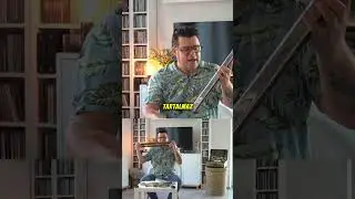 Herfli Suli - Akkord sz&aacute;jharmonika