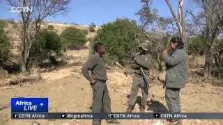 South Africa celebrates the guardians of its national parks