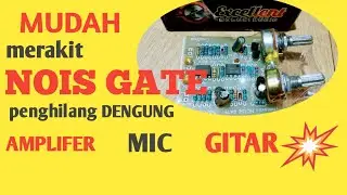 merakit nois gate | penghilang dengung pada amplifer gitar mic
