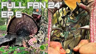 GEORGIA TURKEY HUNT | Chasing a BIG SPURRED OLD GOBBLER