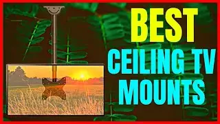 Best Ceiling TV Mounts 2026