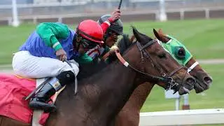 Let's talk horse racing photography