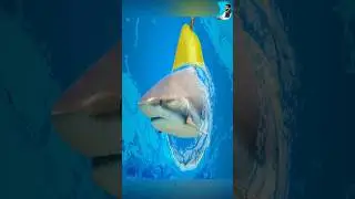 Photo Manipulation in Adobe Photo Shop - Shark in the Pear #4t tech, #4t talent