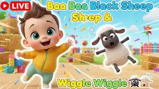 🔴 LIVE Baa Baa Black Sheep & Wiggle Wiggle 🐑👶 | Fun Action Song for Kids