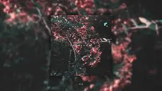 Tymek, Lelon &bdquo;Film&rdquo; (prod. Faded dollars)