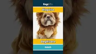 🇬🇧🇷🇴 disguise - deghizare : learn English : să &icirc;nvățăm engleza : vocabulary builder