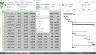 What is MS Project