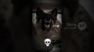 вобла атакует КФС || vobla attacks KFC || #cute #dog #owl #милота #ai #sora2