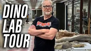 Adam Savage Tours the AMNH FOSSIL Lab!