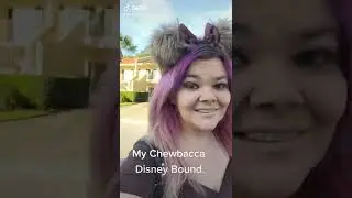 Chewbacca bound for Disney World Hollywood Studios