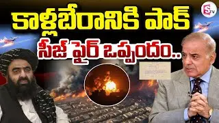 Pakistan VS Afghanistan Declare 48-hour Ceasefire  LIVE🔴: కాళ్లబేరానికి పాక్సీజ్ ఫైర్ ఒప్పందం..