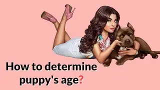 Easiest Way to Determine a Puppy's Age!