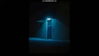 My first reaction video