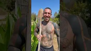From city life to country farming 👨🏻&zwj;🌾 #shorts #haydaypartner