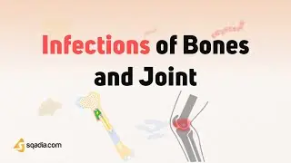Infections of Bones and Joints - Introduction