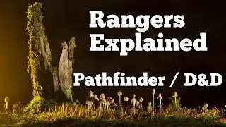 Ranger Class Explained | Pathfinder D&D for Beginners