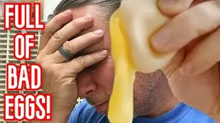 BAD NEWS!! TERRIBLE CLUTCHES OF SNAKE EGGS!! | BRIAN BARCZYK