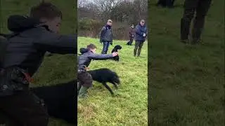 Wirral gundogs - puppy training session 8/1/23