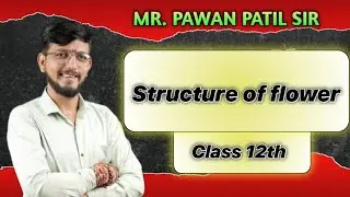 Structure of flower Class 12th Please like share & Subscribe.