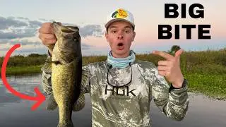 This is STILL the Best Lake in Florida! 🏆 | Big Bass Bites at Headwaters, FL. 🎣