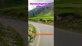 tour trip to narran ,Kaghan .trip is ready after Eid UL adha.your trip,family trip,couple trip.