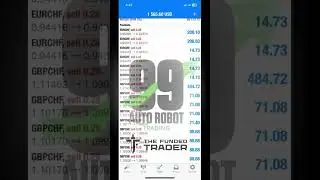 99 Auto Trading EA Has Never Fail To Give Profits  #robot #forex #forexrobotexpertadvisor #trading