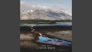 Liquid Shape