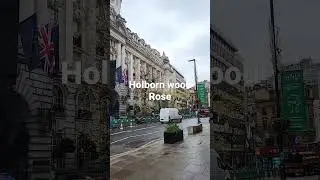 High Holborn  Rose Wood