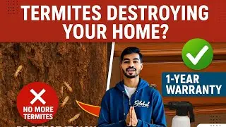 termite treatment india | best medicine for Termite | Best termites treatment pesticide 