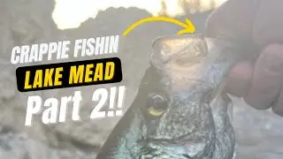How to Catch Crappie at Lake Mead Pt. 2