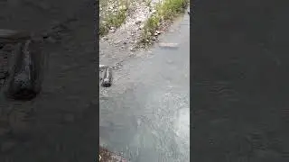 Puente el kilate sobre la carretera de Zaragoza Misantla hacia San Bartolo Atzalan Veracruz 