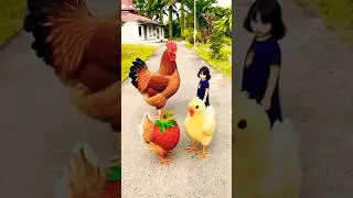 1 2 3 jadii ayam lucu #trendingshorts
