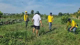 ANH EM KĨ THUẬT BÊN  WELOFARM  NGHÉ THĂM VƯỜN ,XEM CÂY ĐÃ PHÁT TRIỂN NHƯ THẾ NÀO .