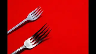 Roger Ver Led Bitcoin Cash Camp BCHN Leads The Post Hard Fork Race