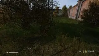 DayZ_RPO cop killed my potbelly pig