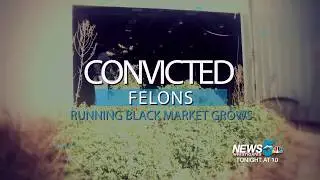 News 5 Investigates: Targeting illegal marijuana and the black market