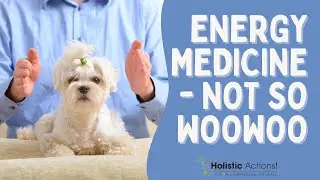 Can Energy Medicine Enhance Pet Health? | Dr. Sue Wagner | Holistic Actions!